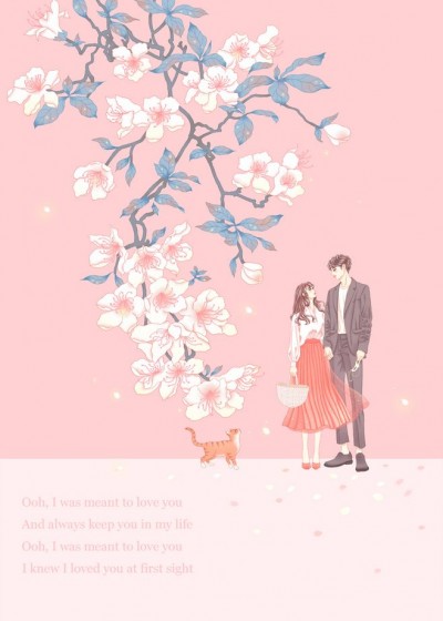 �񻰰�����ȫ������Ķ�